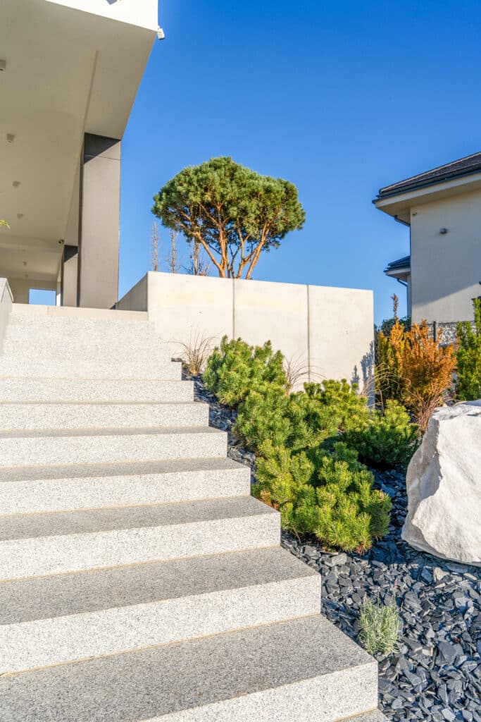 Aménagement paysager moderne: escalier en granit et pins Escalier extérieur en granit clair menant à une entrée moderne, bordé de pins nains et de galets d'ardoise noire sous un ciel bleu.